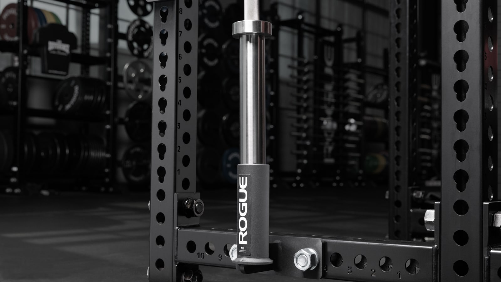 Barbell holder rogue online